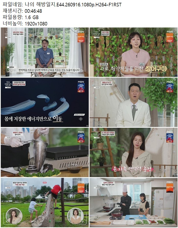나의 해방일지.E44.260916.1080p.H264