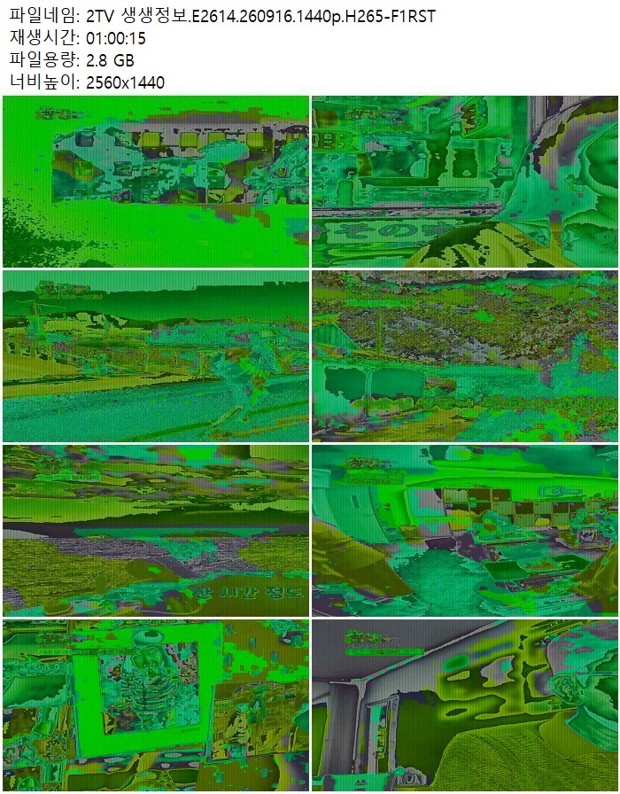 2TV 생생정보.E2614.260916.1440p.H265