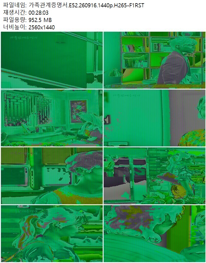 가족관계증명서.E52.260916.1440p.H265