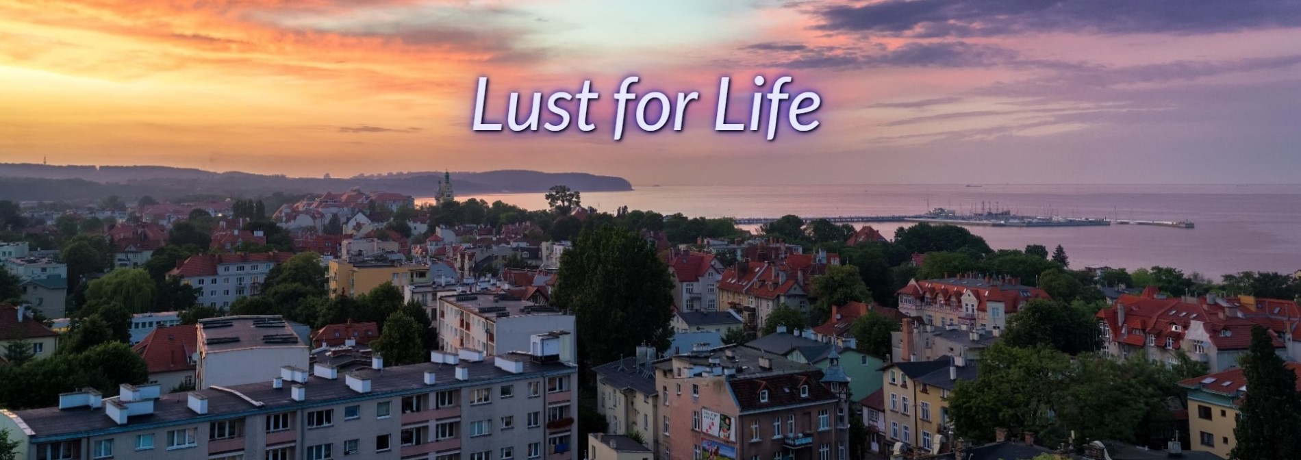 [0917]번역 업뎃 [HTML]Lust for Life v0.74