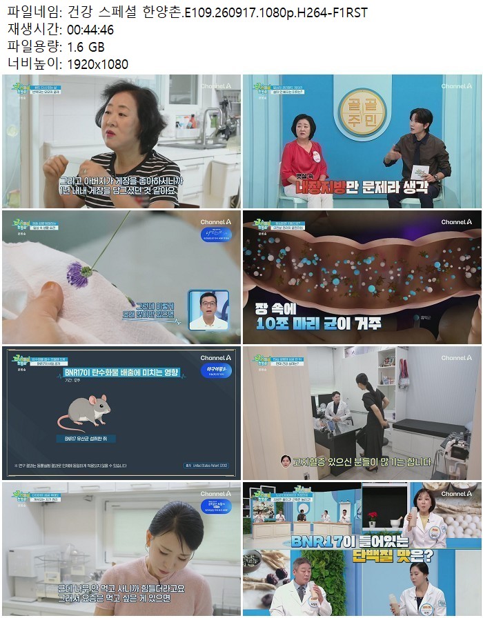 건강 스페셜 한양촌.E109.260917.1080p.H264