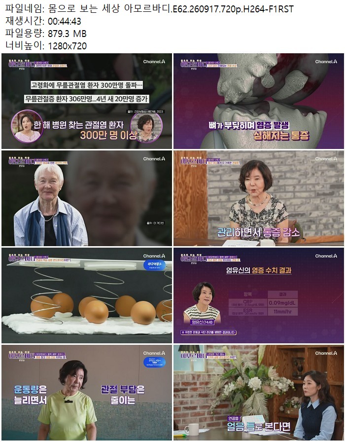 몸으로 보는 세상 아모르바디.E62.260917.720p.H264