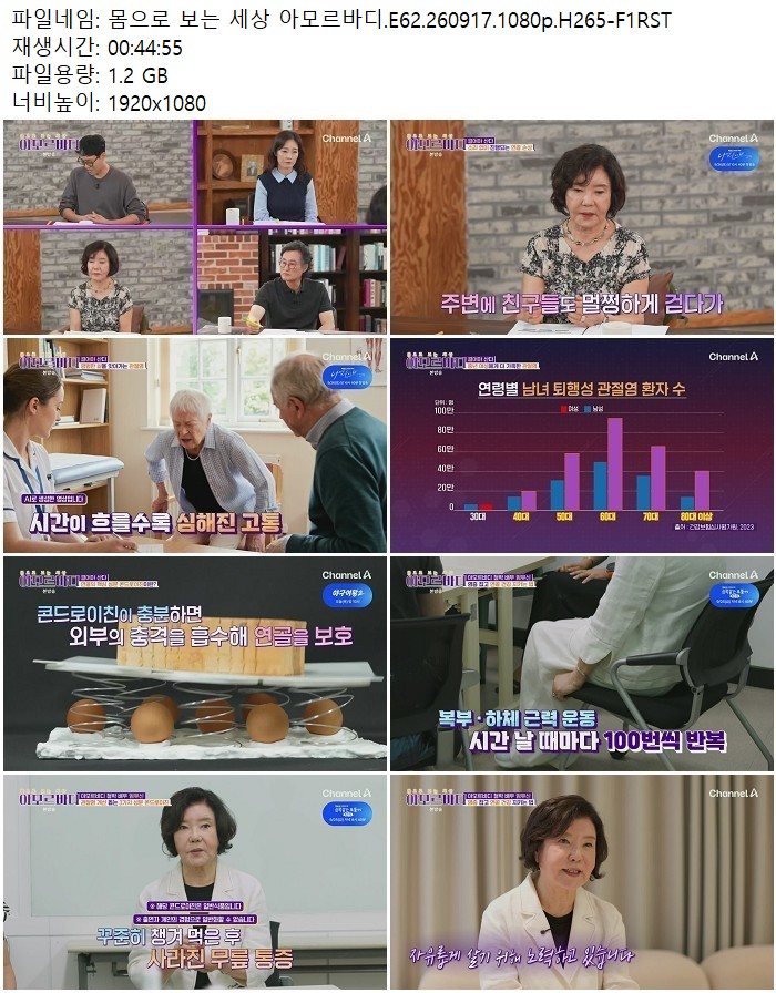 몸으로 보는 세상 아모르바디.E62.260917.1080p.H265