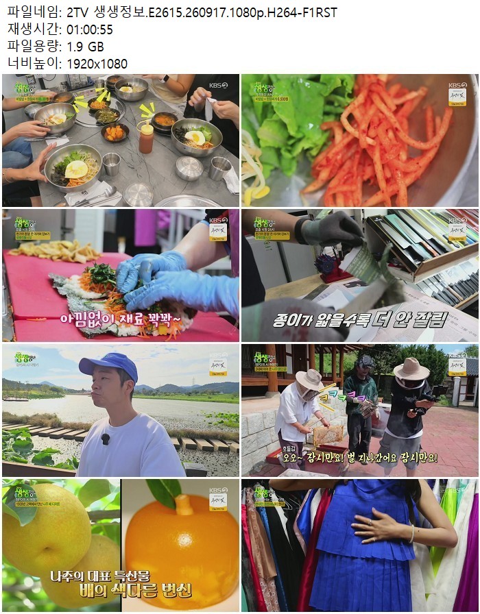 2TV 생생정보.E2615.260917.1080p.H264