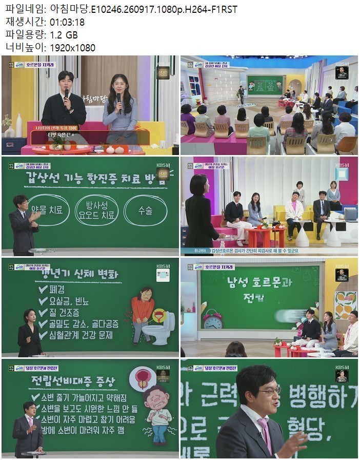 아침마당.E10246.260917.1080p.H264