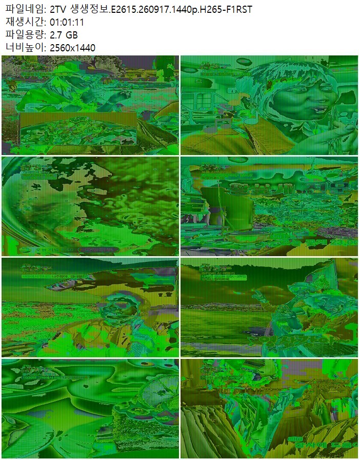 2TV 생생정보.E2615.260917.1440p.H265
