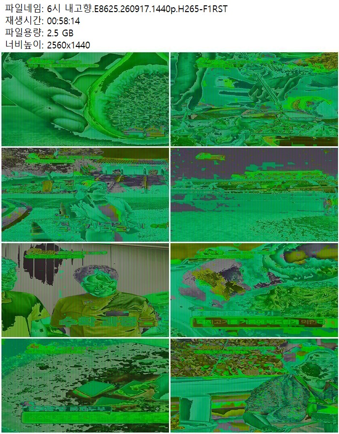 6시 내고향.E8625.260917.1440p.H265