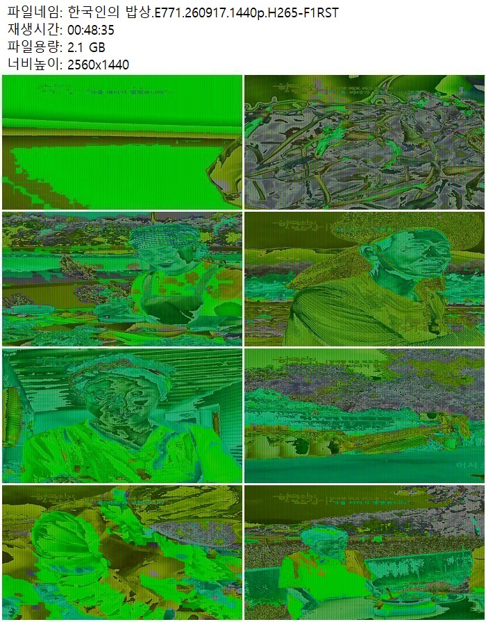한국인의 밥상.E771.260917.1440p.H265