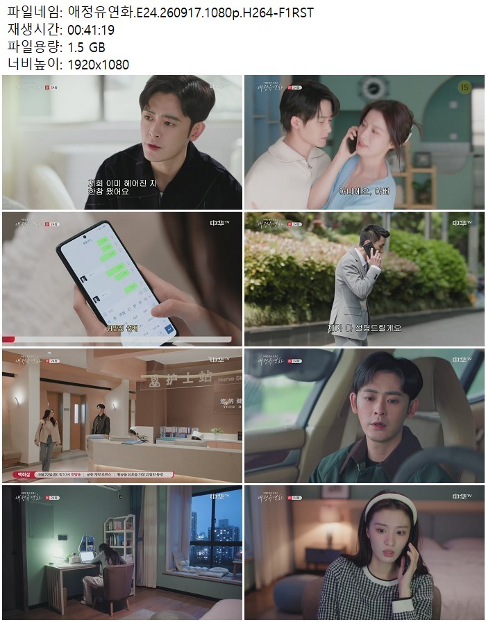 애정유연화.E24.260917.1080p.H264