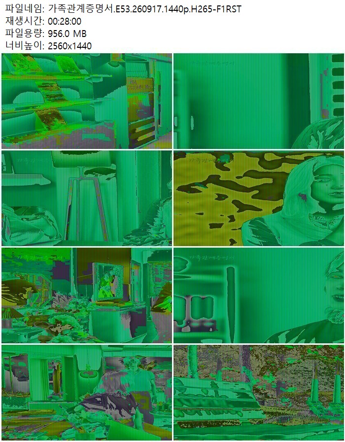 가족관계증명서.E53.260917.1440p.H265