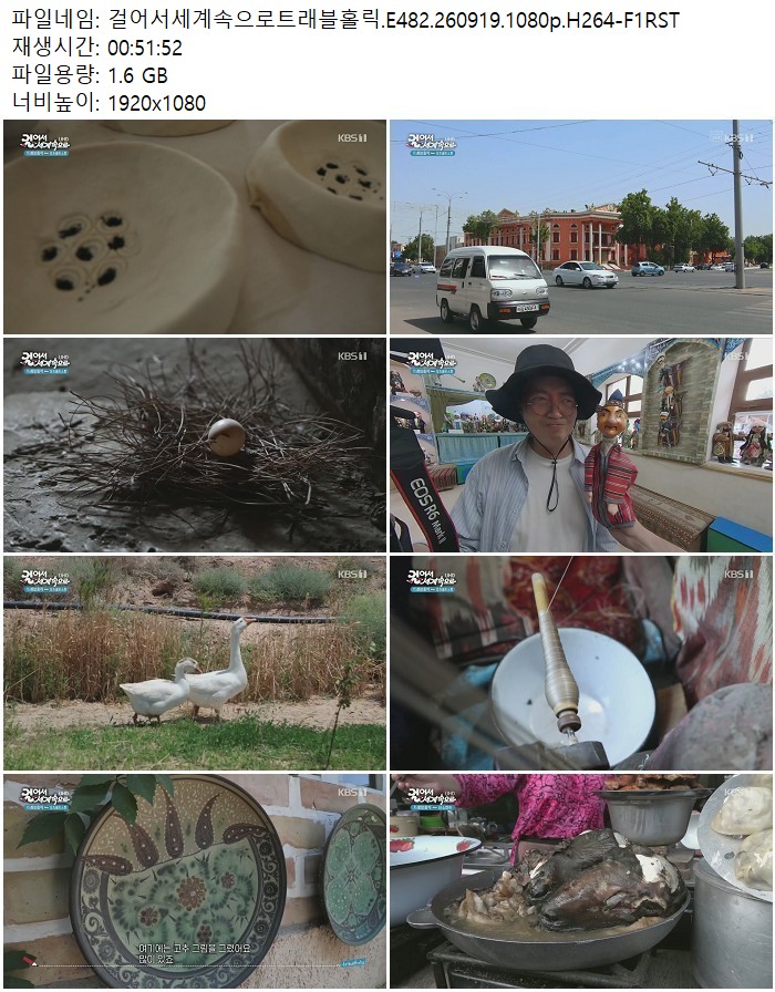 걸어서세계속으로트래블홀릭.E482.260919.1080p.H264