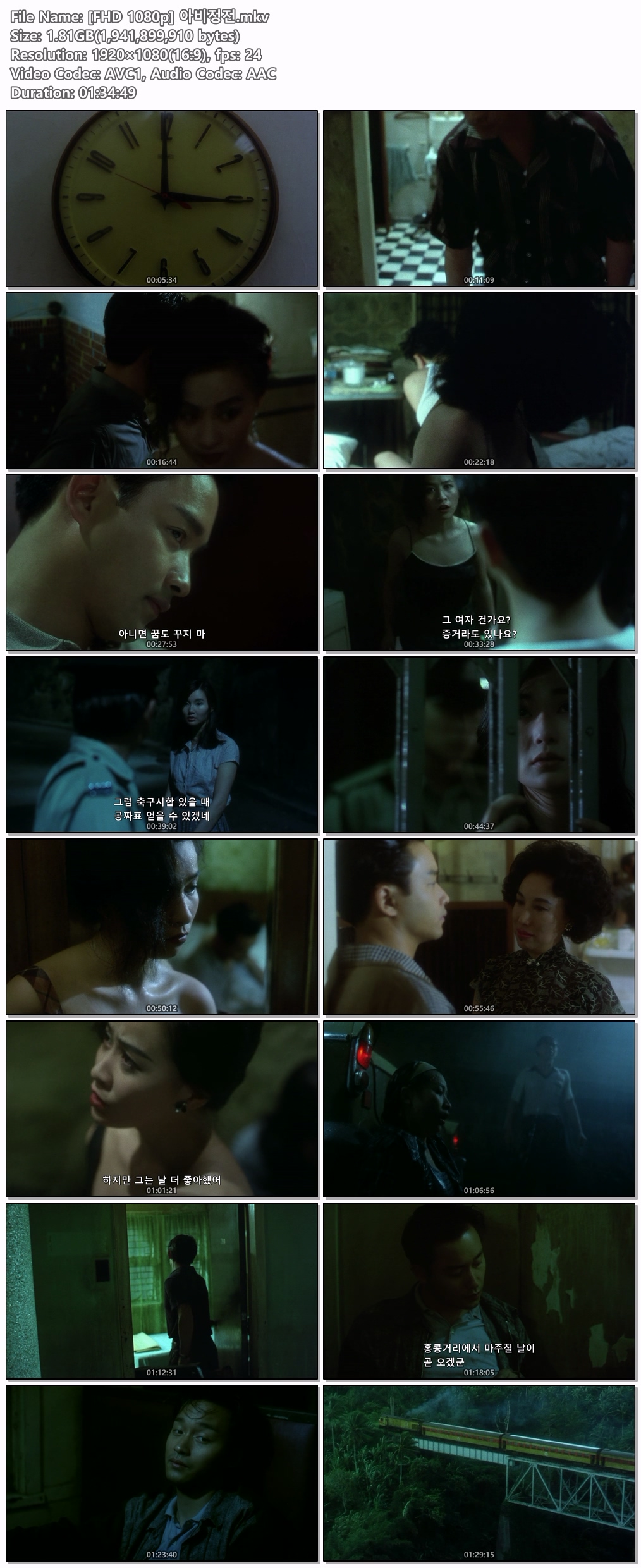 [FHD 1080p] 아비정전