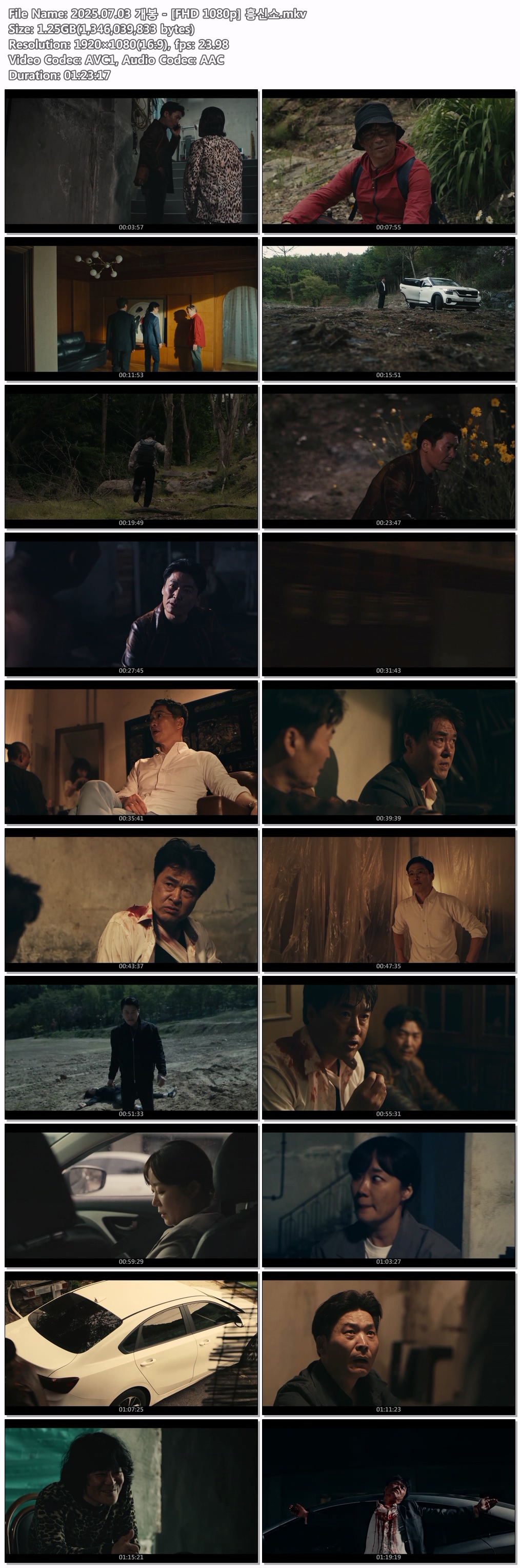 2025.07.03 개봉 - [FHD 1080p] 흥신소