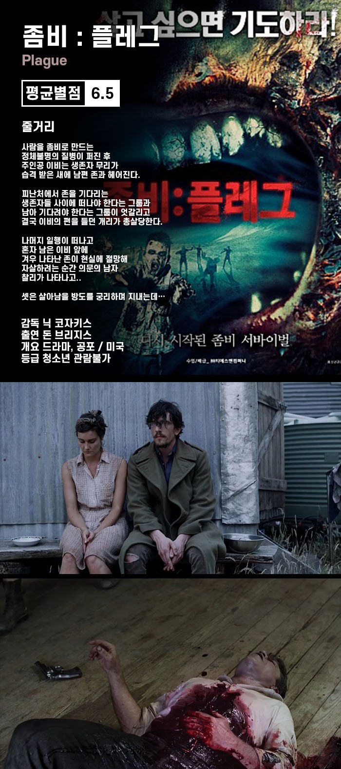 좀비 - 플레그.WEBRip.720p.h264.AAC_snmv
