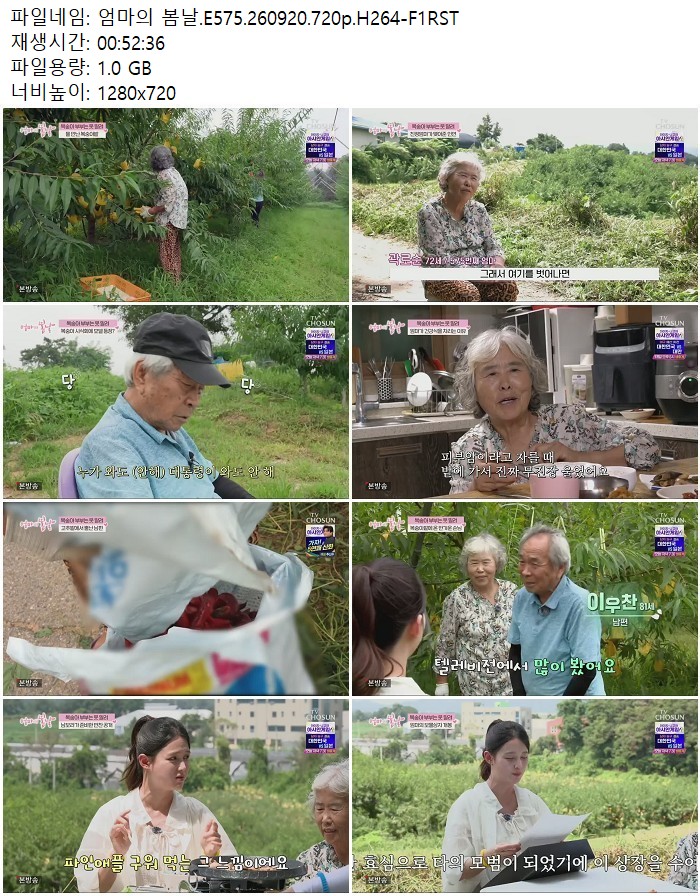 엄마의 봄날.E575.260920.720p.H264-F1RST