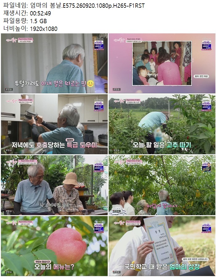 엄마의 봄날.E575.260920.1080p.H265-F1RST