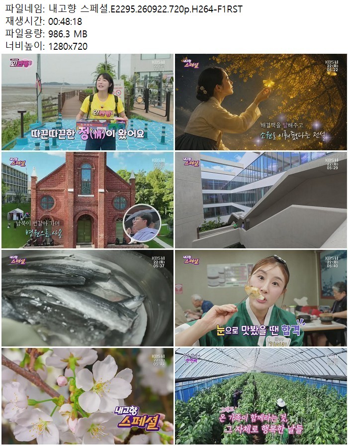 내고향 스페셜.E2295.260922.720p.H264