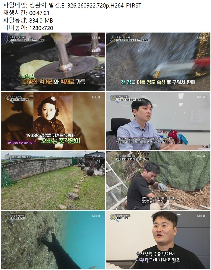 생활의 발견.E1326.260922.720p.H264
