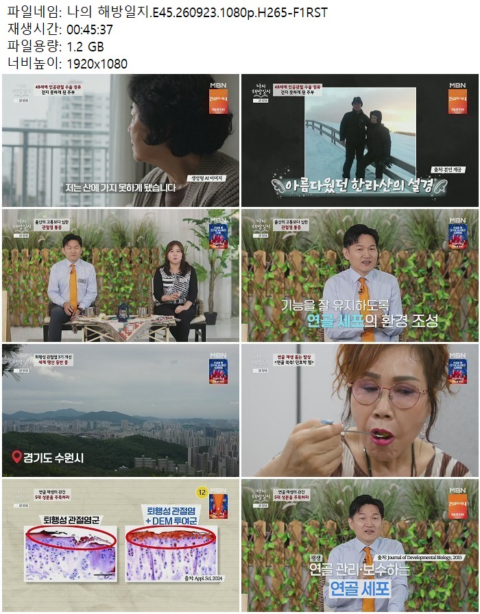 나의 해방일지.E45.260923.1080p.H265