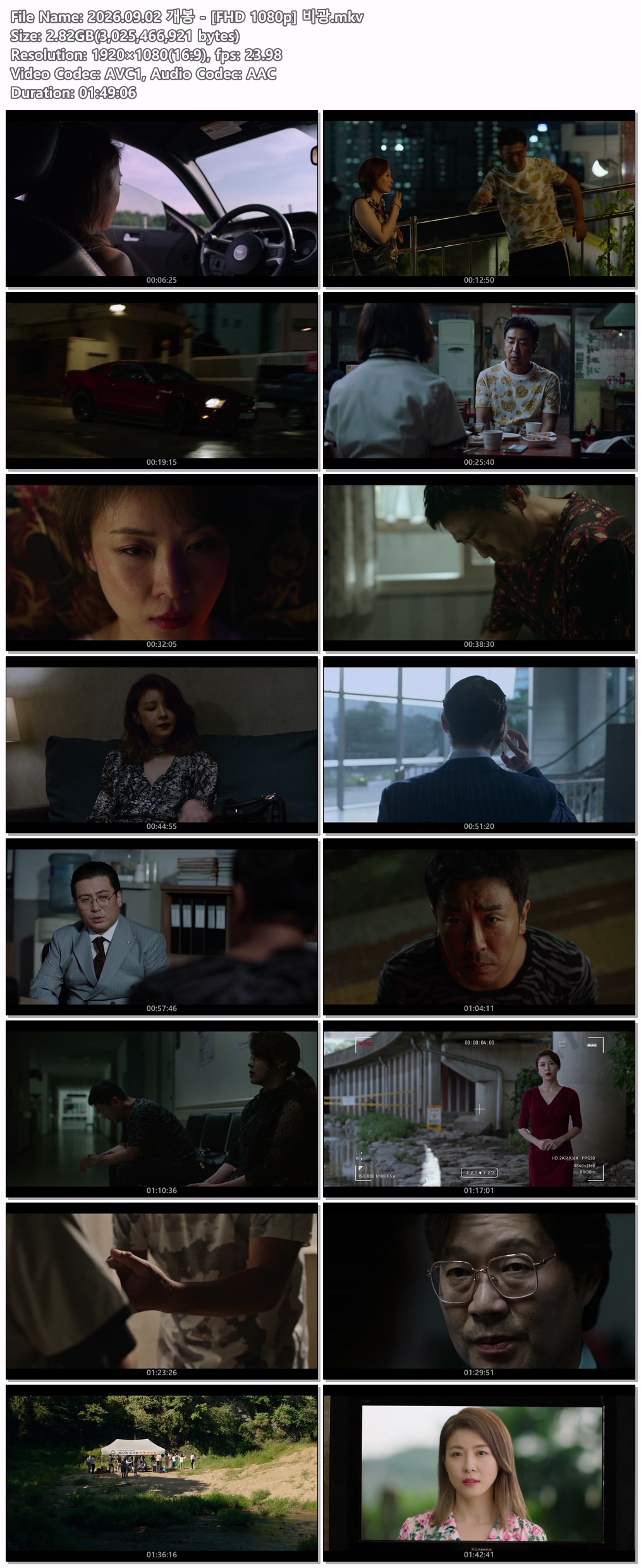 2026.09.02 개봉 - [FHD 1080p] 비광