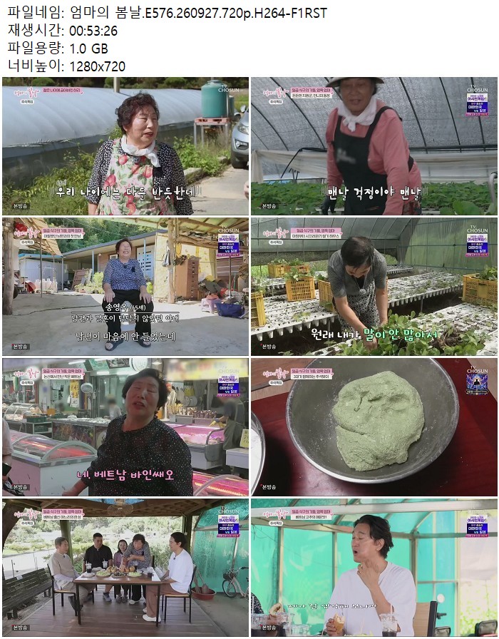 엄마의 봄날.E576.260927.720p.H264