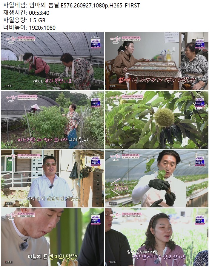 엄마의 봄날.E576.260927.1080p.H265