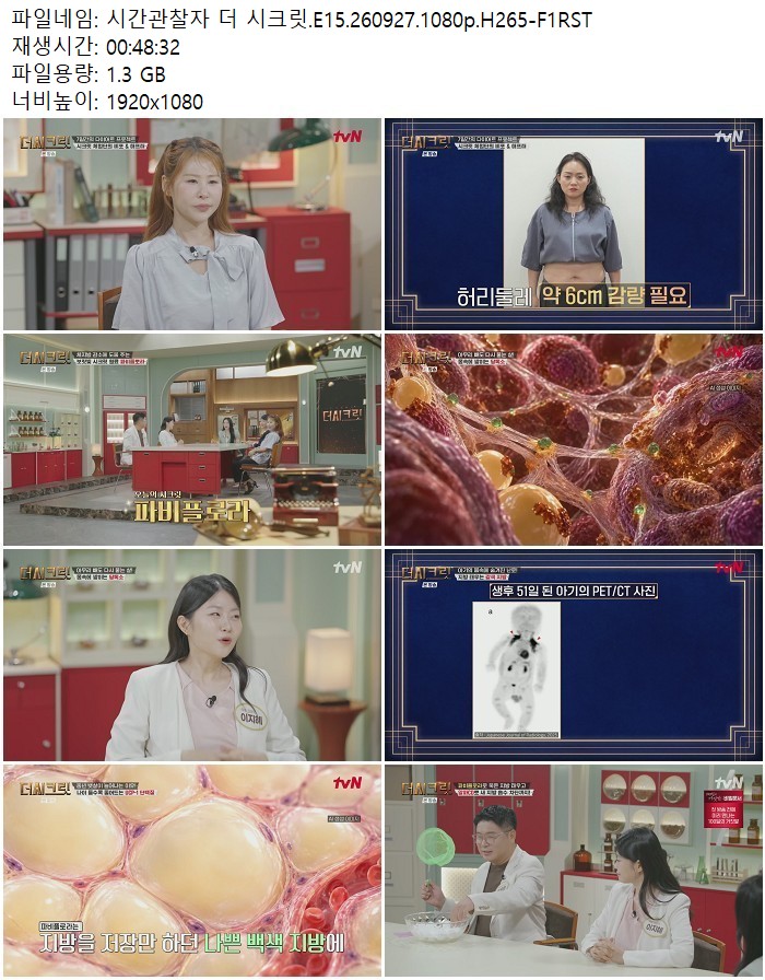 시간관찰자 더 시크릿.E15.260927.1080p.H265