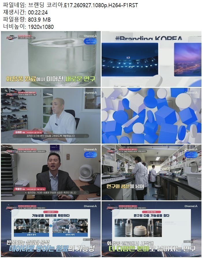 브랜딩 코리아.E17.260927.1080p.H264