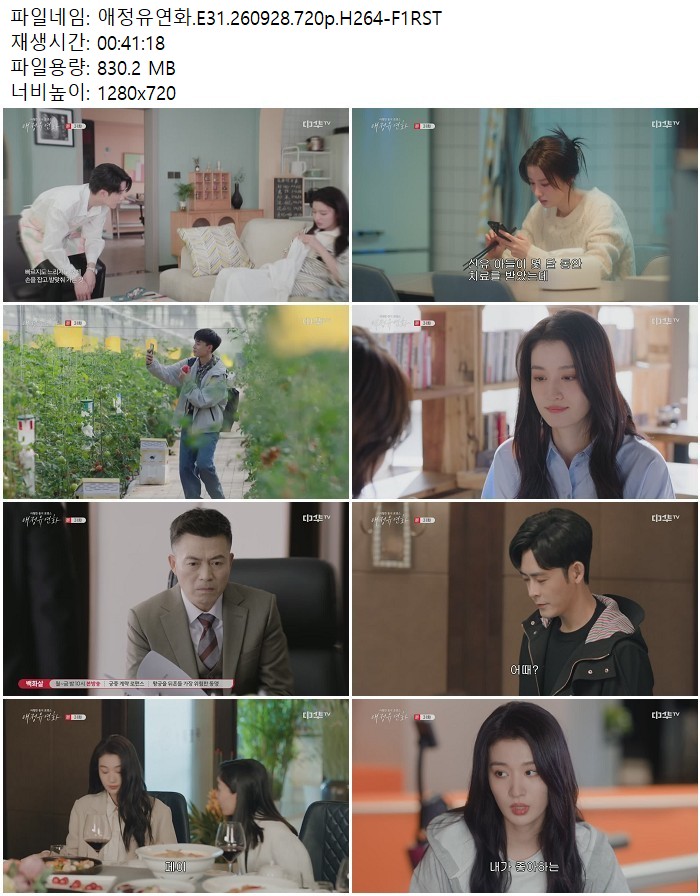 애정유연화.E31.260928.720p.H264-F1RST