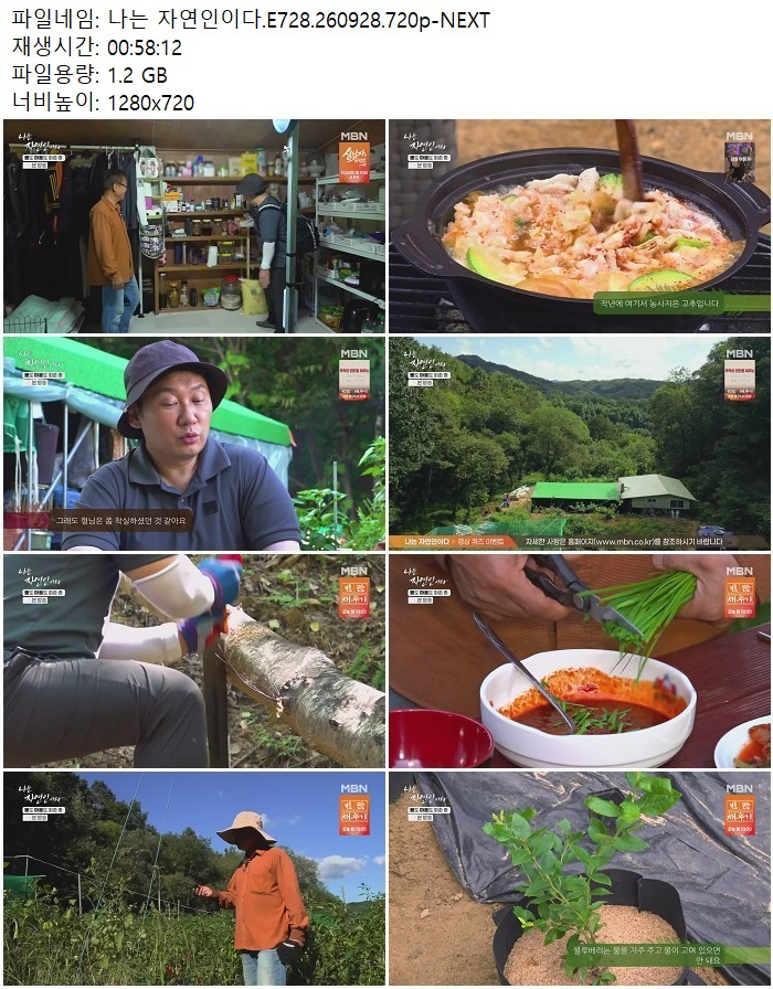 나는 자연인이다.E728.260928.720p-NEXT