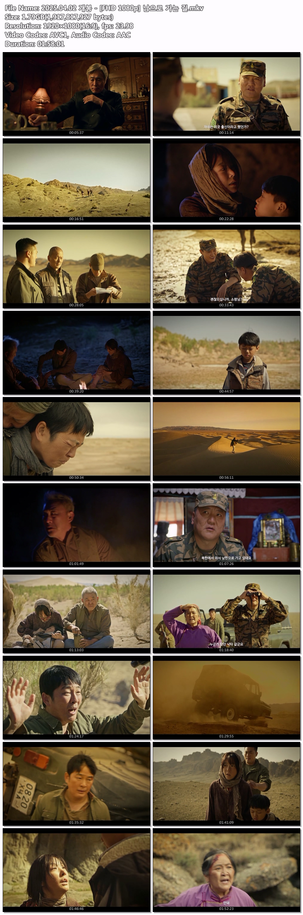 2025.04.02 개봉 - [FHD 1080p] 남으로 가는 길
