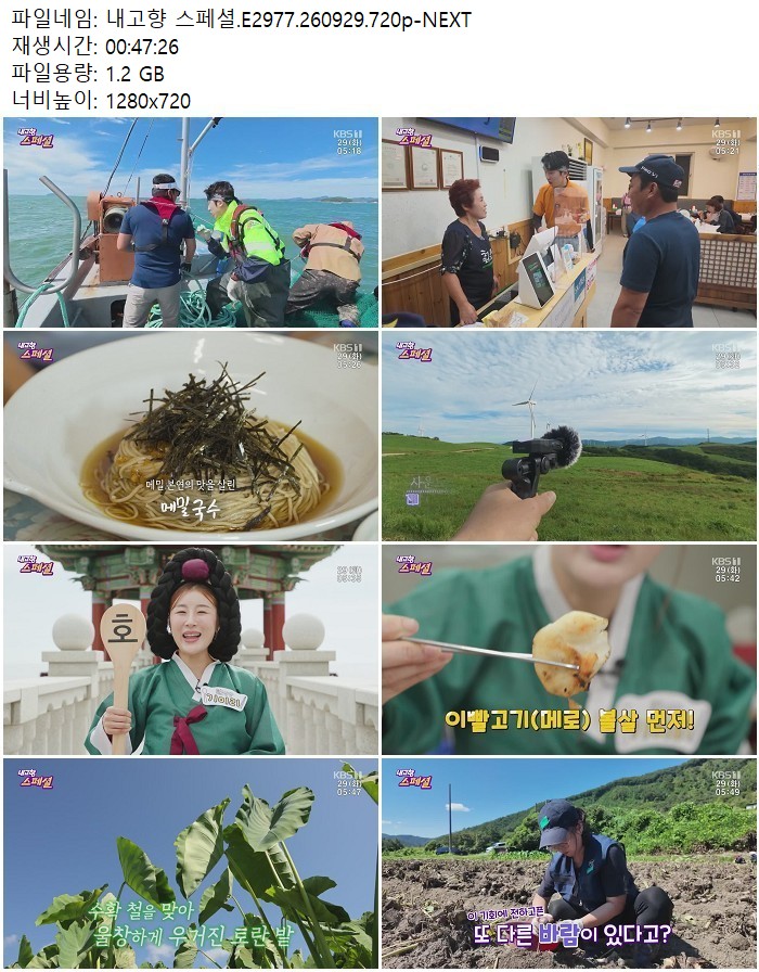내고향 스페셜.E2977.260929.720p-NEXT