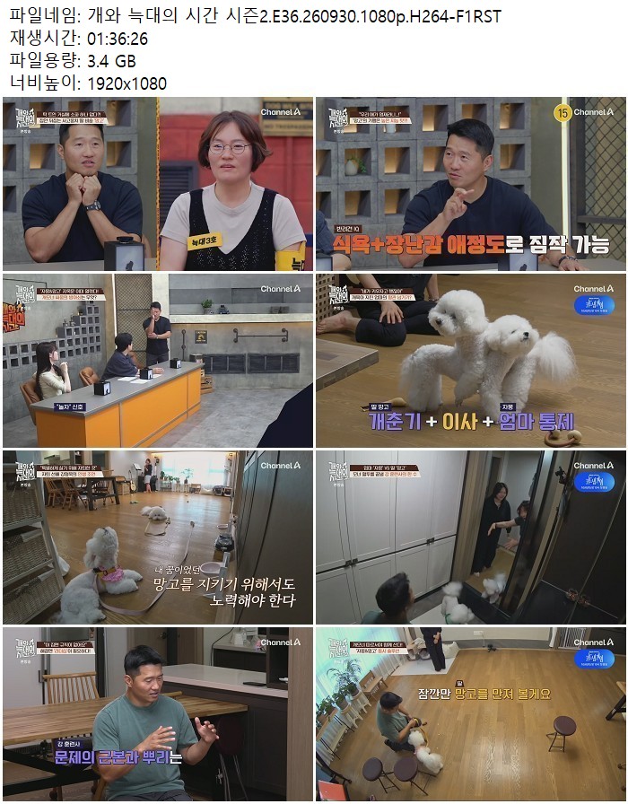 개와 늑대의 시간 시즌2.E36.260930.1080p.H264