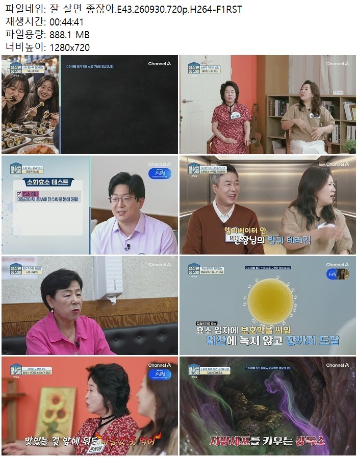 잘 살면 좋잖아.E43.260930.720p.H264