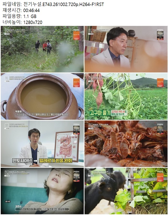 천기누설.E743.261002.720p.H264