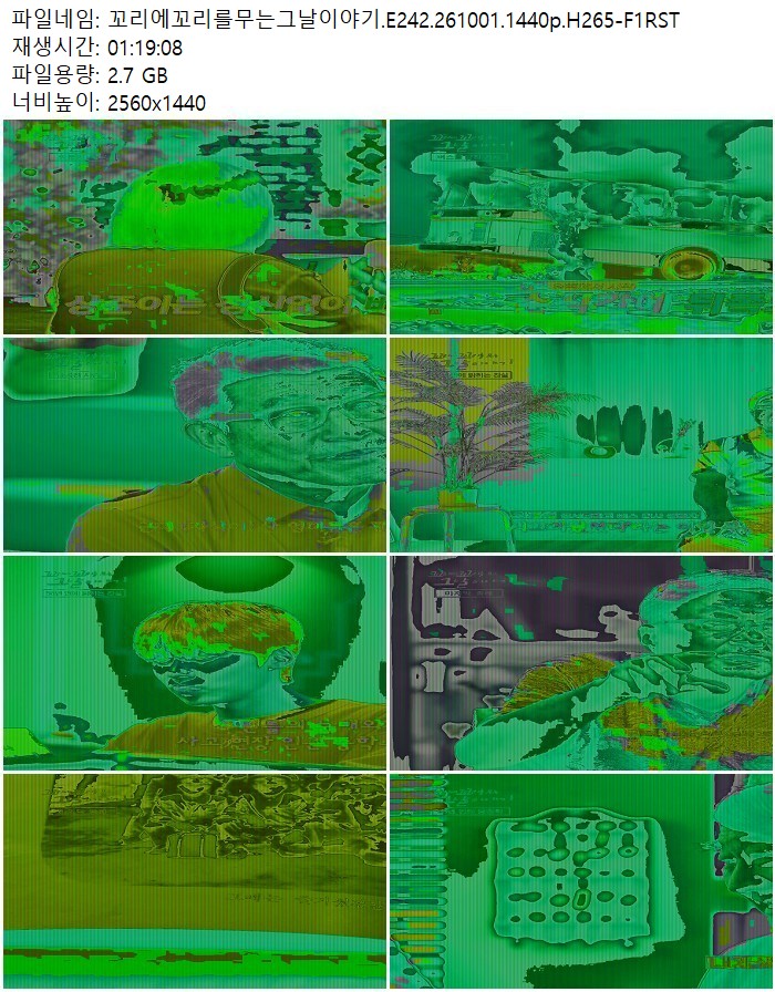 꼬리에꼬리를무는그날이야기.E242.261001.1440p.H265