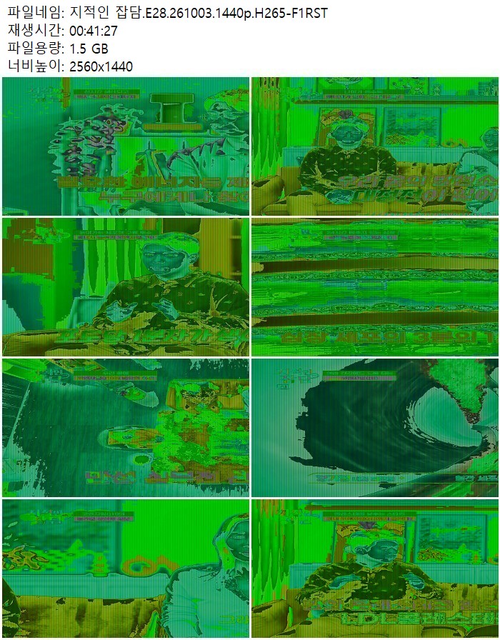 지적인 잡담.E28.261003.1440p.H265