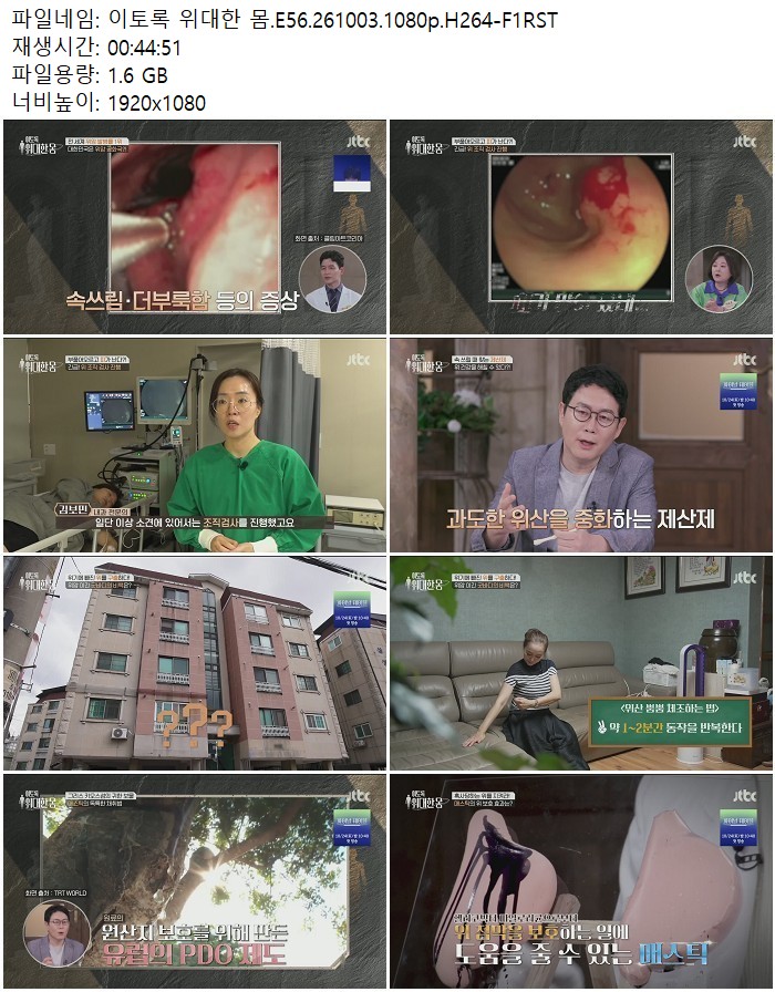 이토록 위대한 몸.E56.261003.1080p.H264