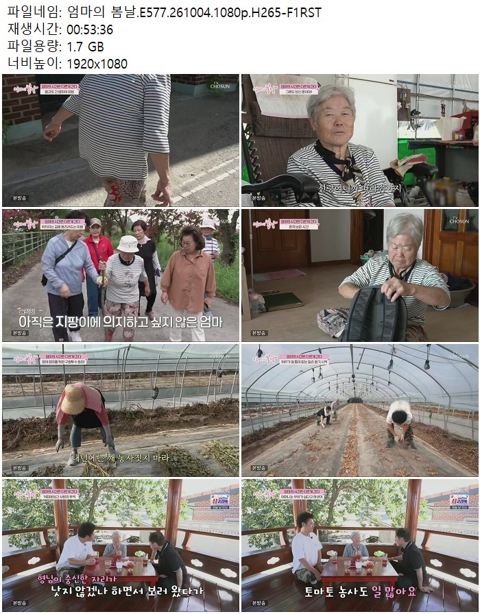 엄마의 봄날.E577.261004.1080p.H265