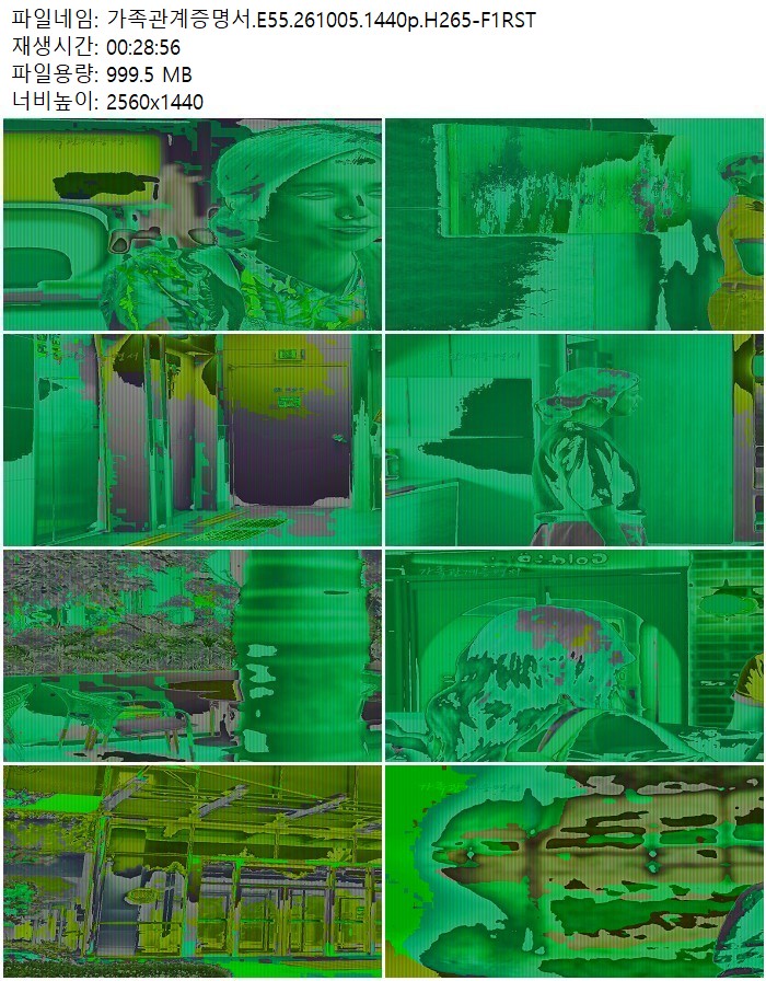 가족관계증명서.E55.261005.1440p.H265