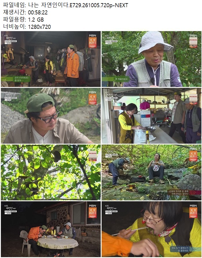 나는 자연인이다.E729.261005.720p-NEXT