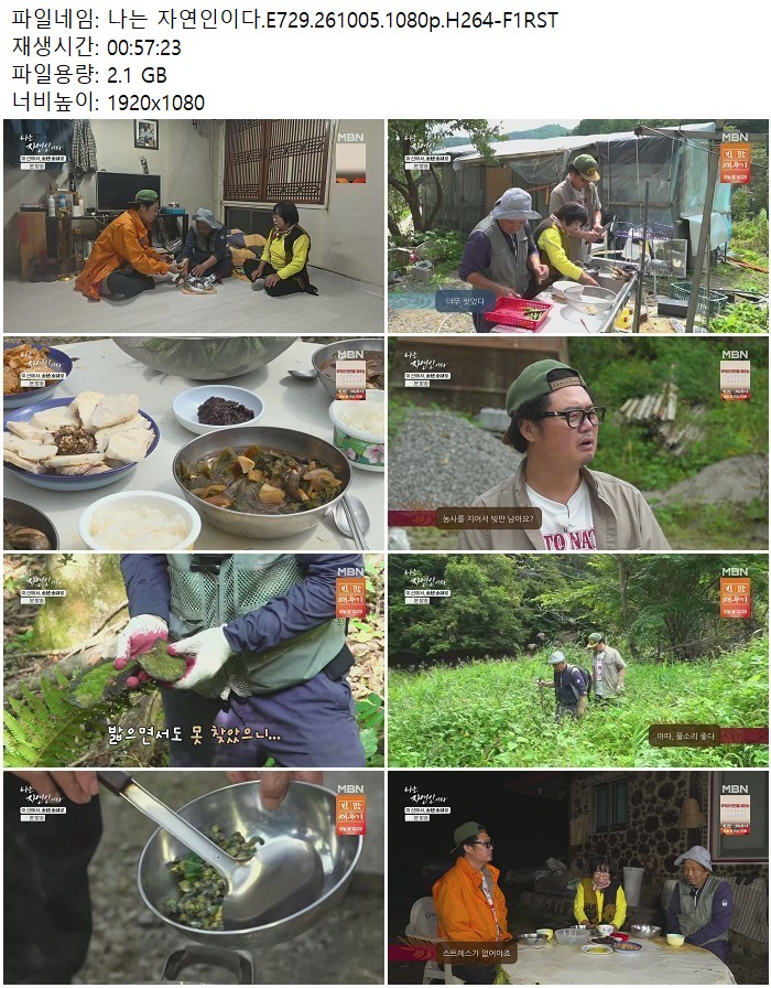 나는 자연인이다.E729.261005.1080p.H264