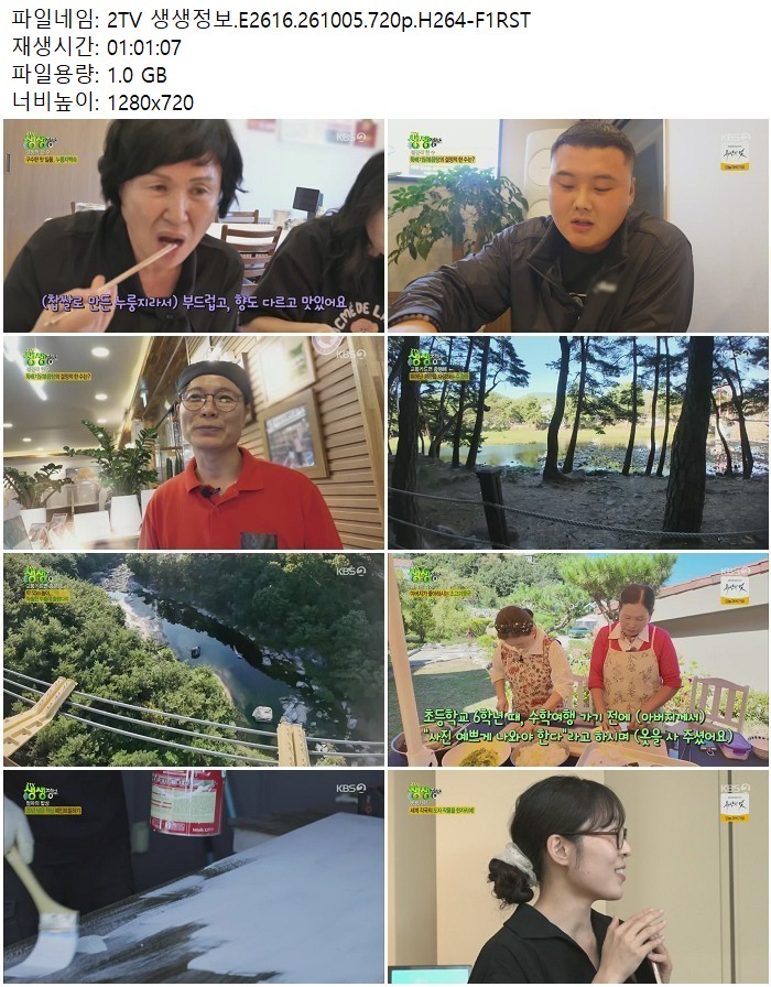 2TV 생생정보.E2616.261005.720p.H264