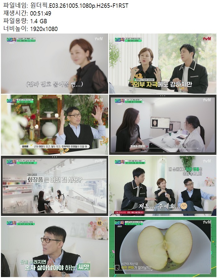 원더픽.E03.261005.1080p.H265