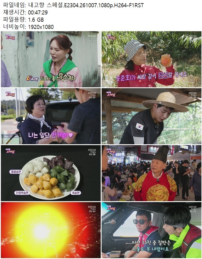 내고향 스페셜.E2304.261007.1080p.H264