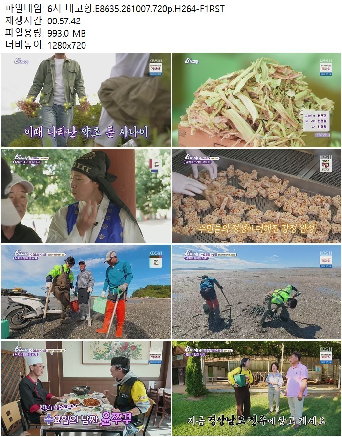 6시 내고향.E8635.261007.720p.H264