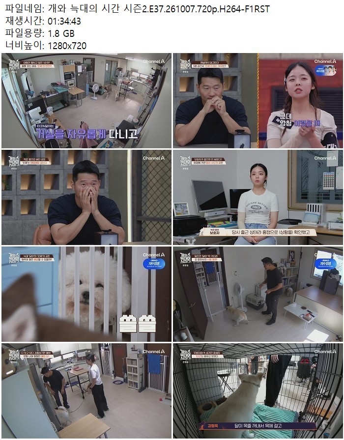 개와 늑대의 시간 시즌2.E37.261007.720p.H264