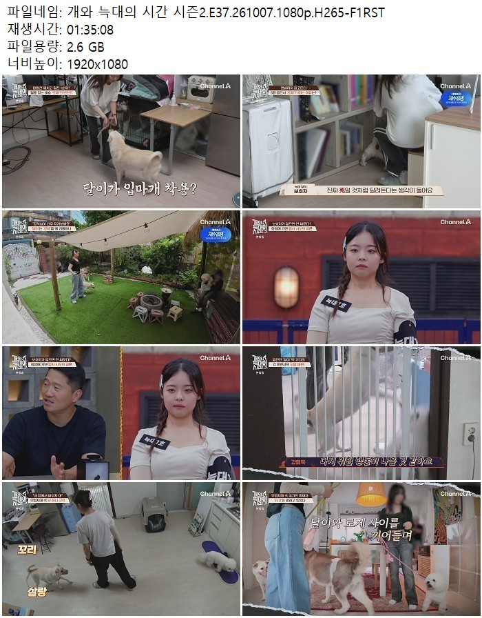 개와 늑대의 시간 시즌2.E37.261007.1080p.H265