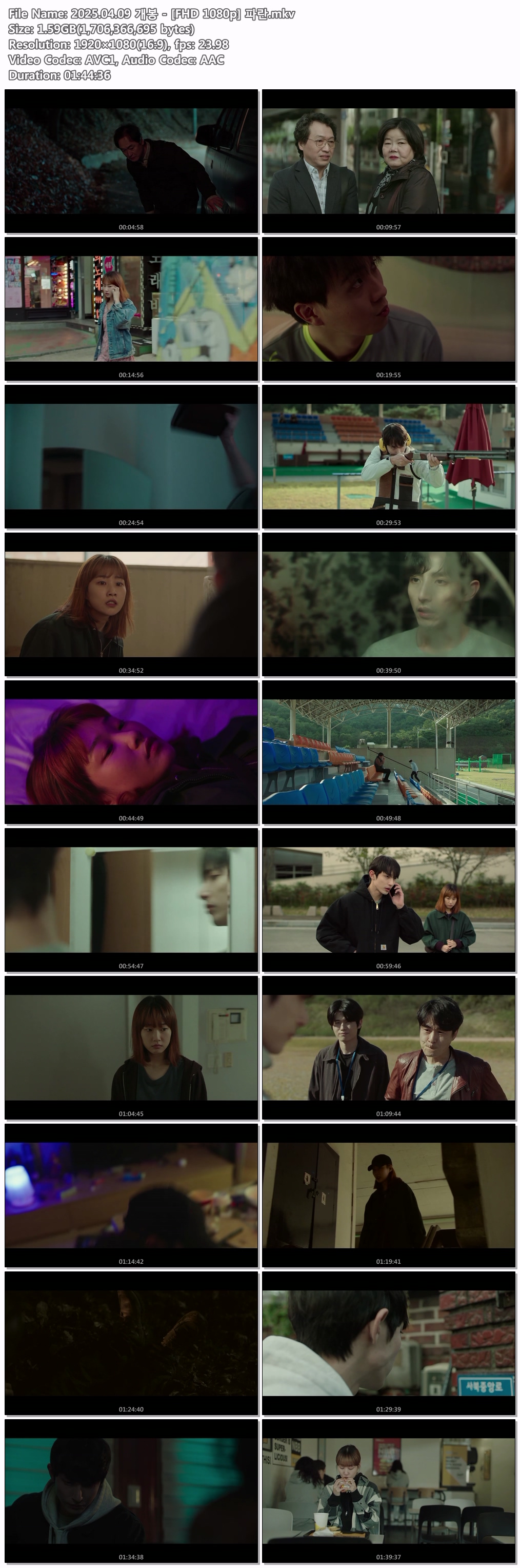 2025.04.09 개봉 - [FHD 1080p] 파란