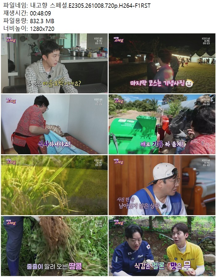내고향 스페셜.E2305.261008.720p.H264
